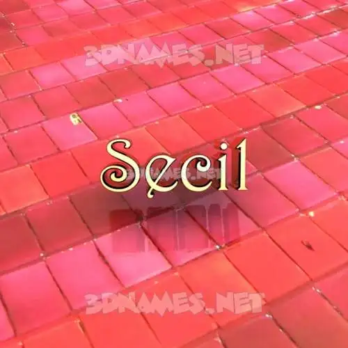 secil in Red Tiles style - 3D name wallpaper secil in Red Tiles style - 3D name wallpaper