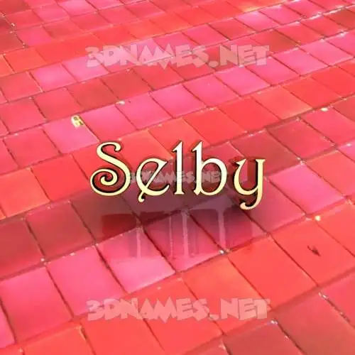 selby in Red Tiles style - 3D name wallpaper selby in Red Tiles style - 3D name wallpaper