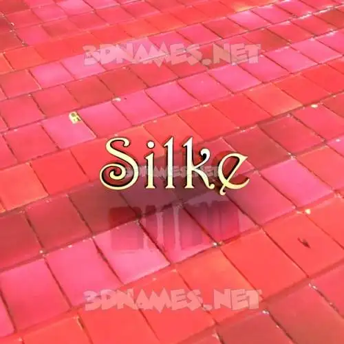 silke in Red Tiles style - 3D name wallpaper silke in Red Tiles style - 3D name wallpaper