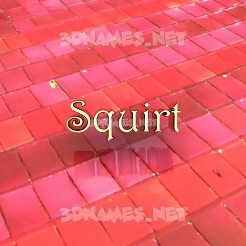 squirt in Red Tiles style - 3D name wallpaper squirt in Red Tiles style - 3D name wallpaper