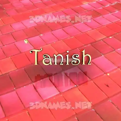 tanish in Red Tiles style - 3D name wallpaper tanish in Red Tiles style - 3D name wallpaper