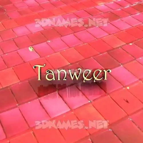 tanweer in Red Tiles style - 3D name wallpaper tanweer in Red Tiles style - 3D name wallpaper