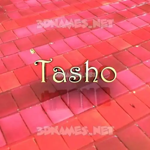 tasho in Red Tiles style - 3D name wallpaper tasho in Red Tiles style - 3D name wallpaper
