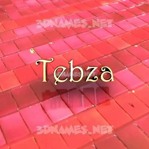 tebza in Red Tiles style - 3D name wallpaper tebza in Red Tiles style - 3D name wallpaper