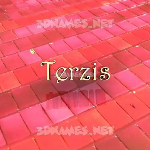 terzis in Red Tiles style - 3D name wallpaper terzis in Red Tiles style - 3D name wallpaper