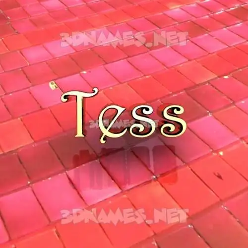 tess in Red Tiles style - 3D name wallpaper tess in Red Tiles style - 3D name wallpaper