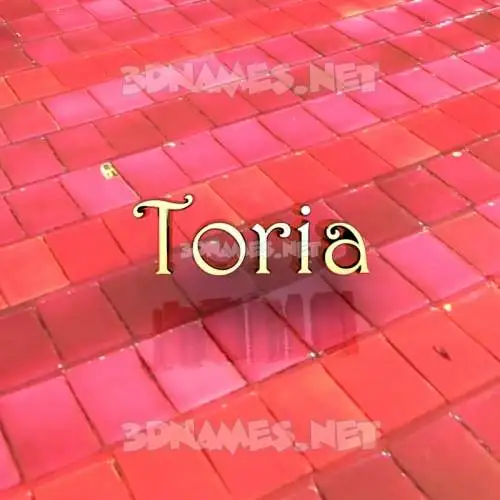 toria in Red Tiles style - 3D name wallpaper toria in Red Tiles style - 3D name wallpaper
