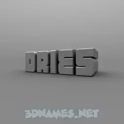 dries in Solid Grey style - 3D name wallpaper