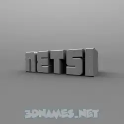 netsi in Solid Grey style - 3D name wallpaper