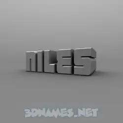 niles in Solid Grey style - 3D name wallpaper