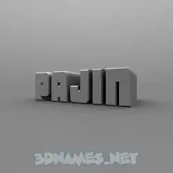 pajin in Solid Grey style - 3D name wallpaper