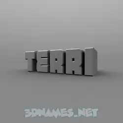 terri in Solid Grey style - 3D name wallpaper