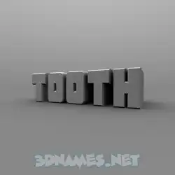 tooth in Solid Grey style - 3D name wallpaper