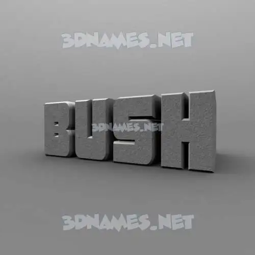 bush in Solid Grey style - 3D name wallpaper bush in Solid Grey style - 3D name wallpaper