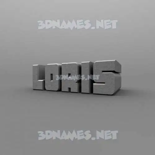 loris in Solid Grey style - 3D name wallpaper loris in Solid Grey style - 3D name wallpaper