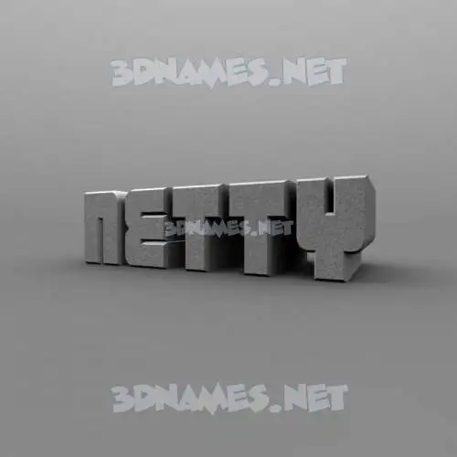 netty in Solid Grey style - 3D name wallpaper
