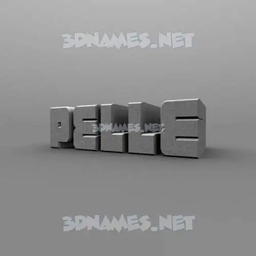 pelle in Solid Grey style - 3D name wallpaper pelle in Solid Grey style - 3D name wallpaper