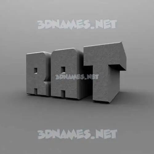 rat in Solid Grey style - 3D name wallpaper rat in Solid Grey style - 3D name wallpaper