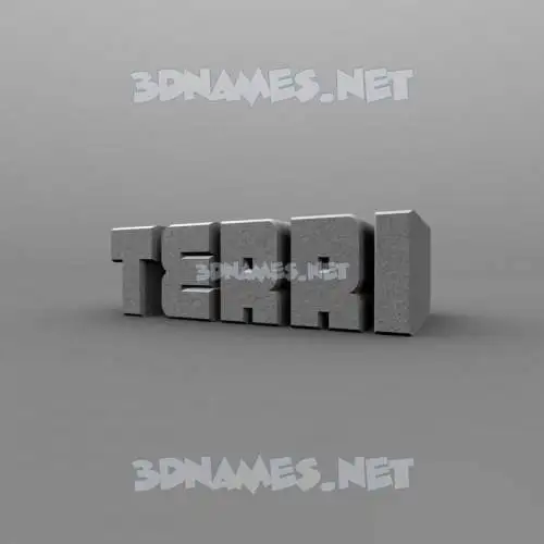 terri in Solid Grey style - 3D name wallpaper terri in Solid Grey style - 3D name wallpaper