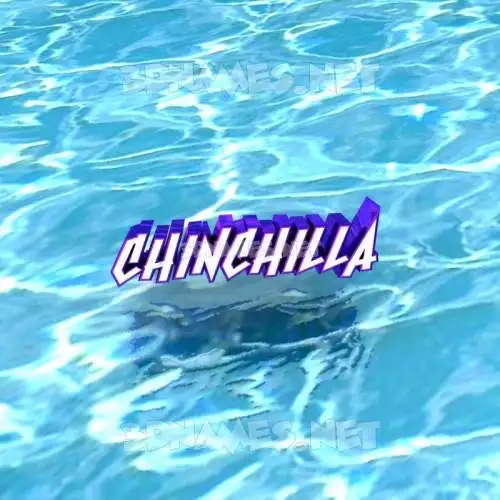 chinchilla in Water style - 3D name wallpaper chinchilla in Water style - 3D name wallpaper