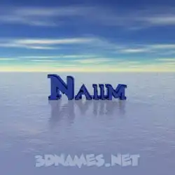 naiim in Horizon style - 3D name wallpaper