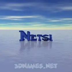 netsi in Horizon style - 3D name wallpaper