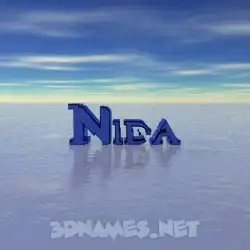 nida in Horizon style - 3D name wallpaper