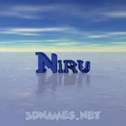 niru in Horizon style - 3D name wallpaper