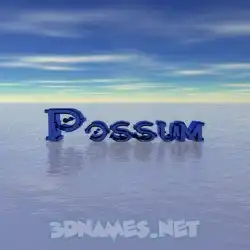 possum in Horizon style - 3D name wallpaper