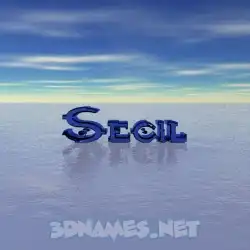 secil in Horizon style - 3D name wallpaper