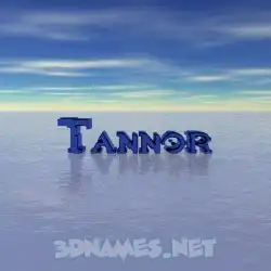 tannor in Horizon style - 3D name wallpaper