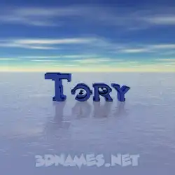 tory in Horizon style - 3D name wallpaper