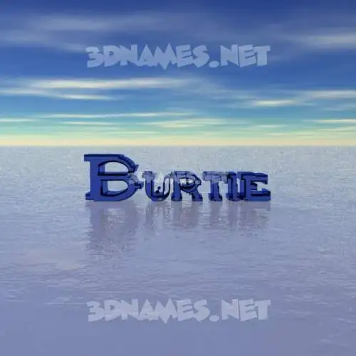 burtie in Horizon style - 3D name wallpaper burtie in Horizon style - 3D name wallpaper