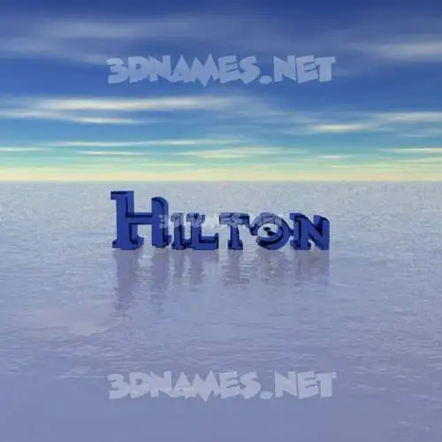 hilton in Horizon style - 3D name wallpaper hilton in Horizon style - 3D name wallpaper