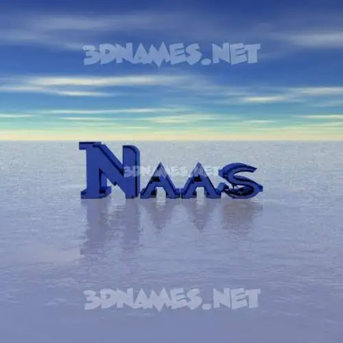 naas in Horizon style - 3D name wallpaper