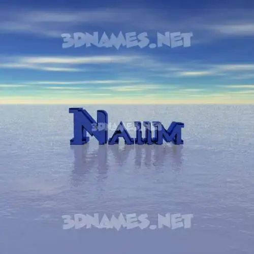 naiim in Horizon style - 3D name wallpaper naiim in Horizon style - 3D name wallpaper