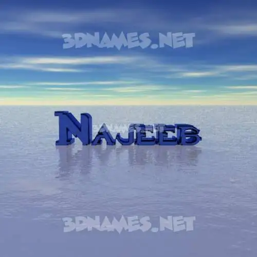 najeeb in Horizon style - 3D name wallpaper najeeb in Horizon style - 3D name wallpaper