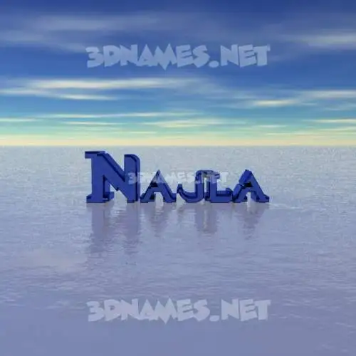 najla in Horizon style - 3D name wallpaper najla in Horizon style - 3D name wallpaper
