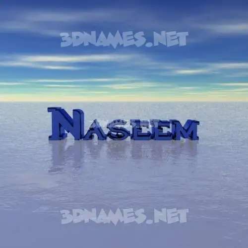 naseem in Horizon style - 3D name wallpaper naseem in Horizon style - 3D name wallpaper