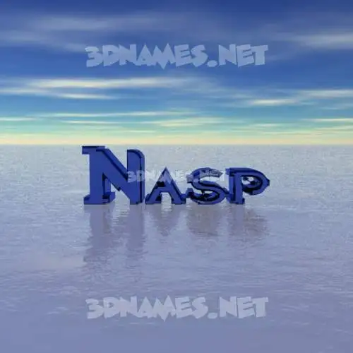 nasp in Horizon style - 3D name wallpaper nasp in Horizon style - 3D name wallpaper