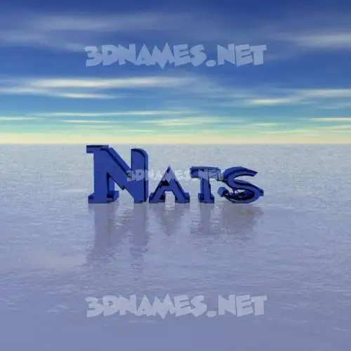 nats in Horizon style - 3D name wallpaper nats in Horizon style - 3D name wallpaper