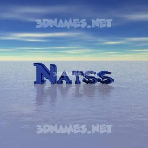natss in Horizon style - 3D name wallpaper natss in Horizon style - 3D name wallpaper