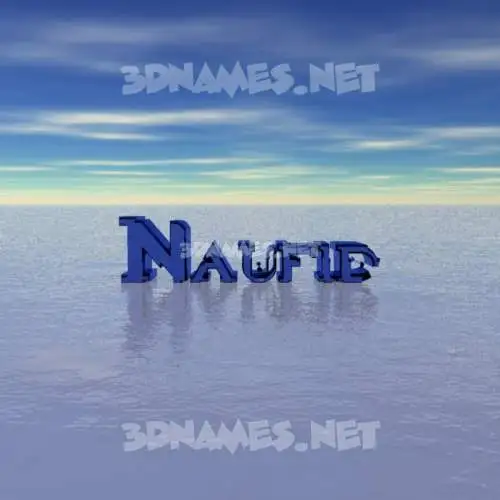 naufid in Horizon style - 3D name wallpaper naufid in Horizon style - 3D name wallpaper