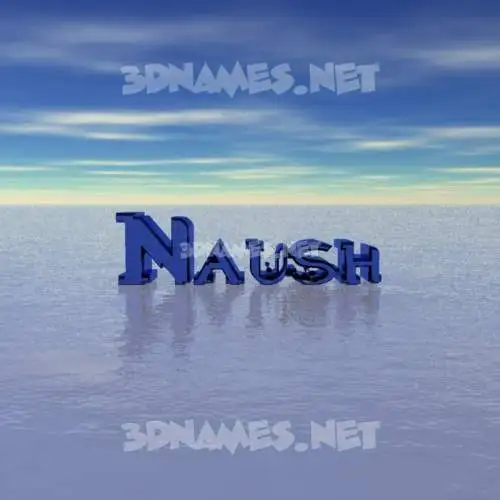 naush in Horizon style - 3D name wallpaper naush in Horizon style - 3D name wallpaper