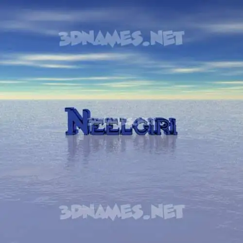 neelgiri in Horizon style - 3D name wallpaper neelgiri in Horizon style - 3D name wallpaper