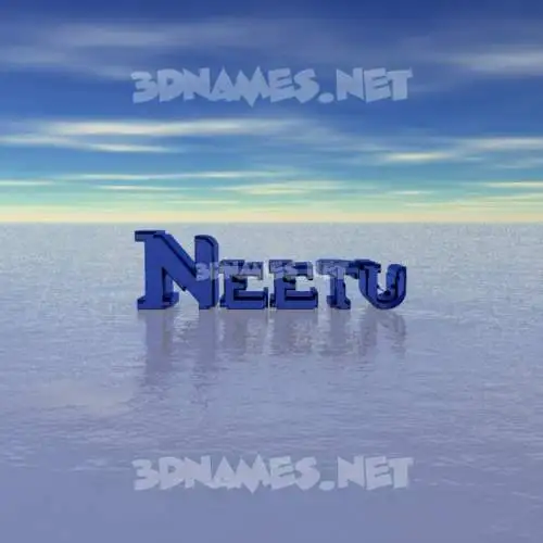 neetu in Horizon style - 3D name wallpaper neetu in Horizon style - 3D name wallpaper