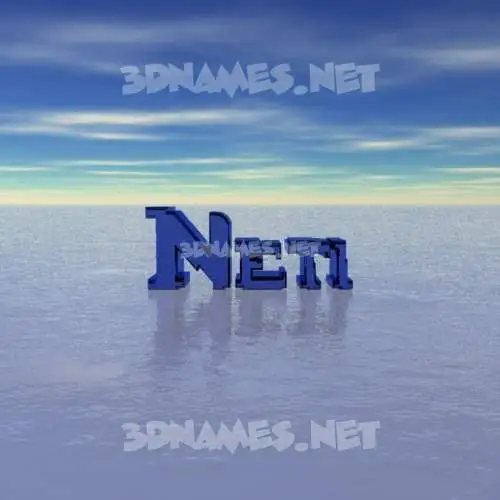 neti in Horizon style - 3D name wallpaper neti in Horizon style - 3D name wallpaper