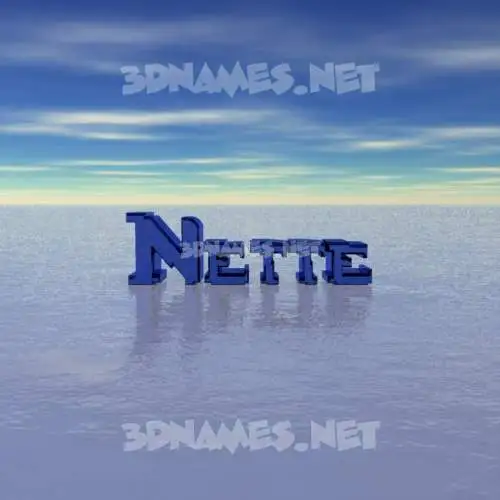 nette in Horizon style - 3D name wallpaper