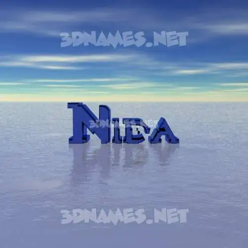 nida in Horizon style - 3D name wallpaper nida in Horizon style - 3D name wallpaper