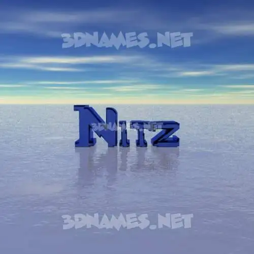 nitz in Horizon style - 3D name wallpaper nitz in Horizon style - 3D name wallpaper